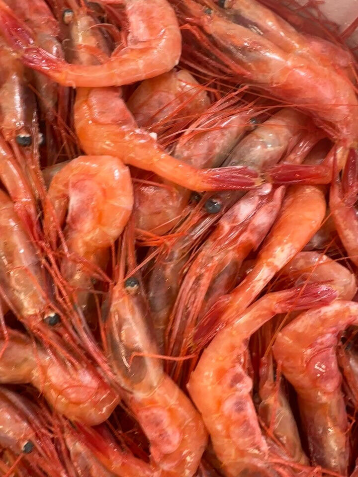 おはようございます🌞🐟