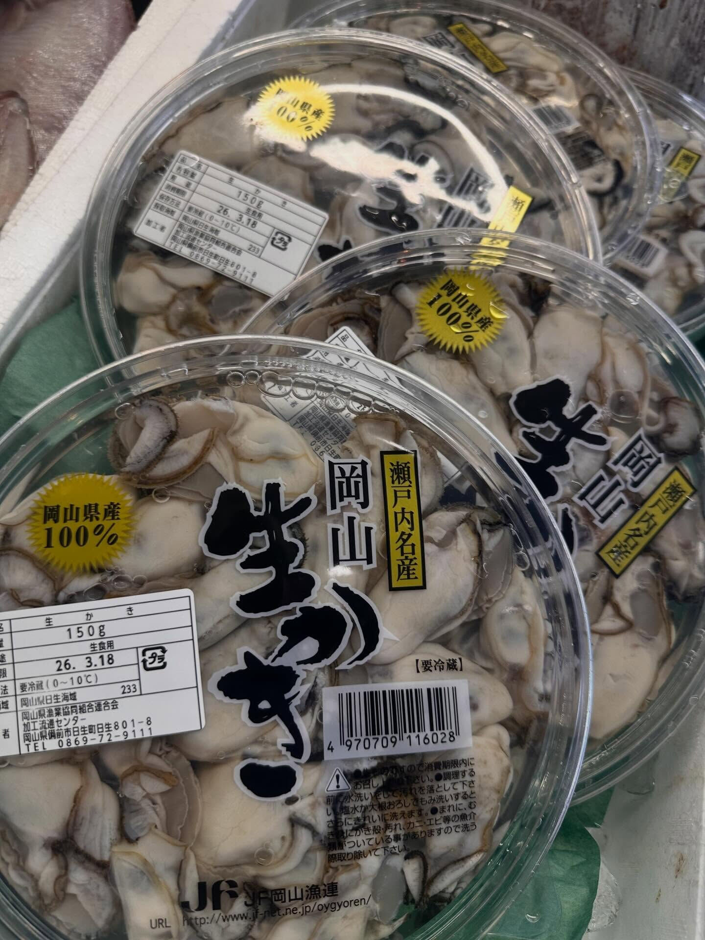 おはようございます🌞🐟