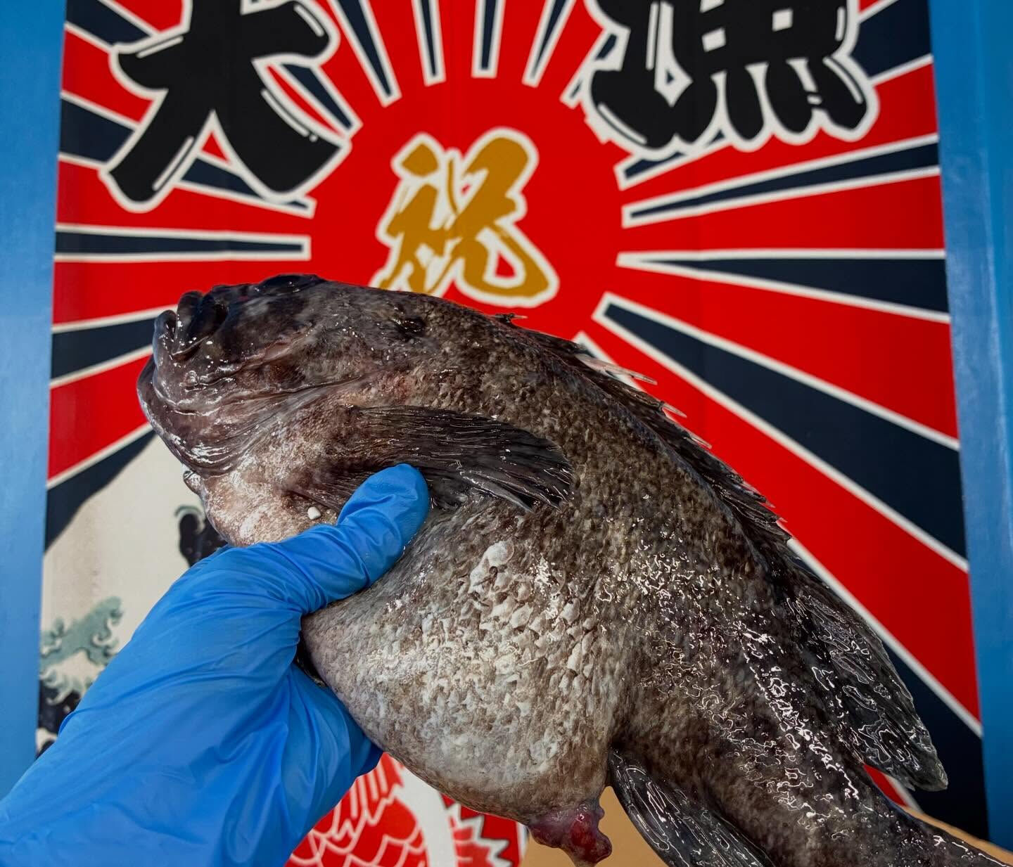 🐟