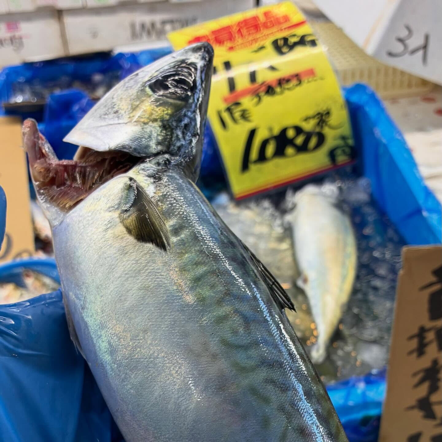 こんにちは！