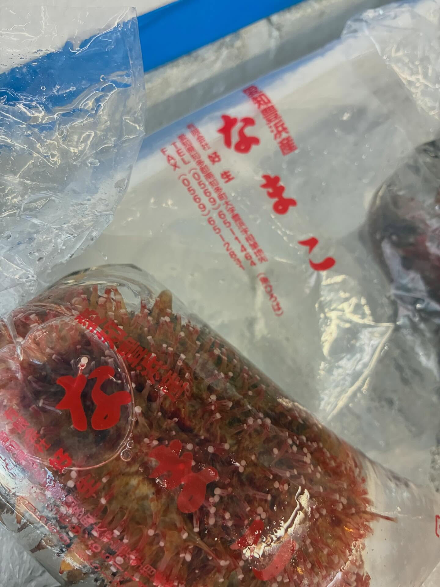 おはようございます！