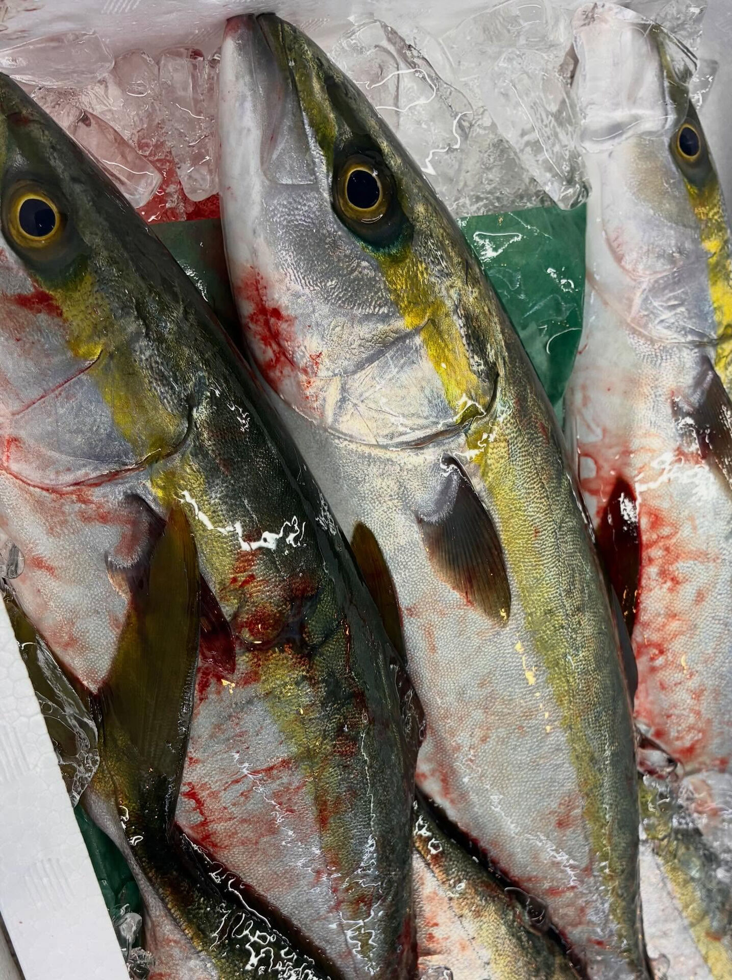おはようございます！
