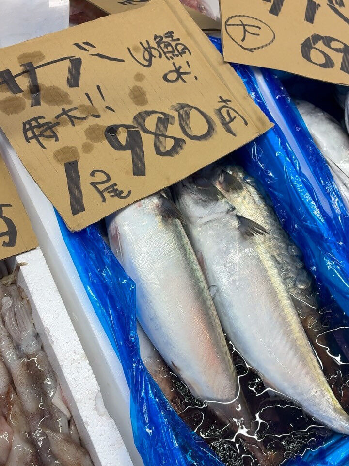 おはようございます！