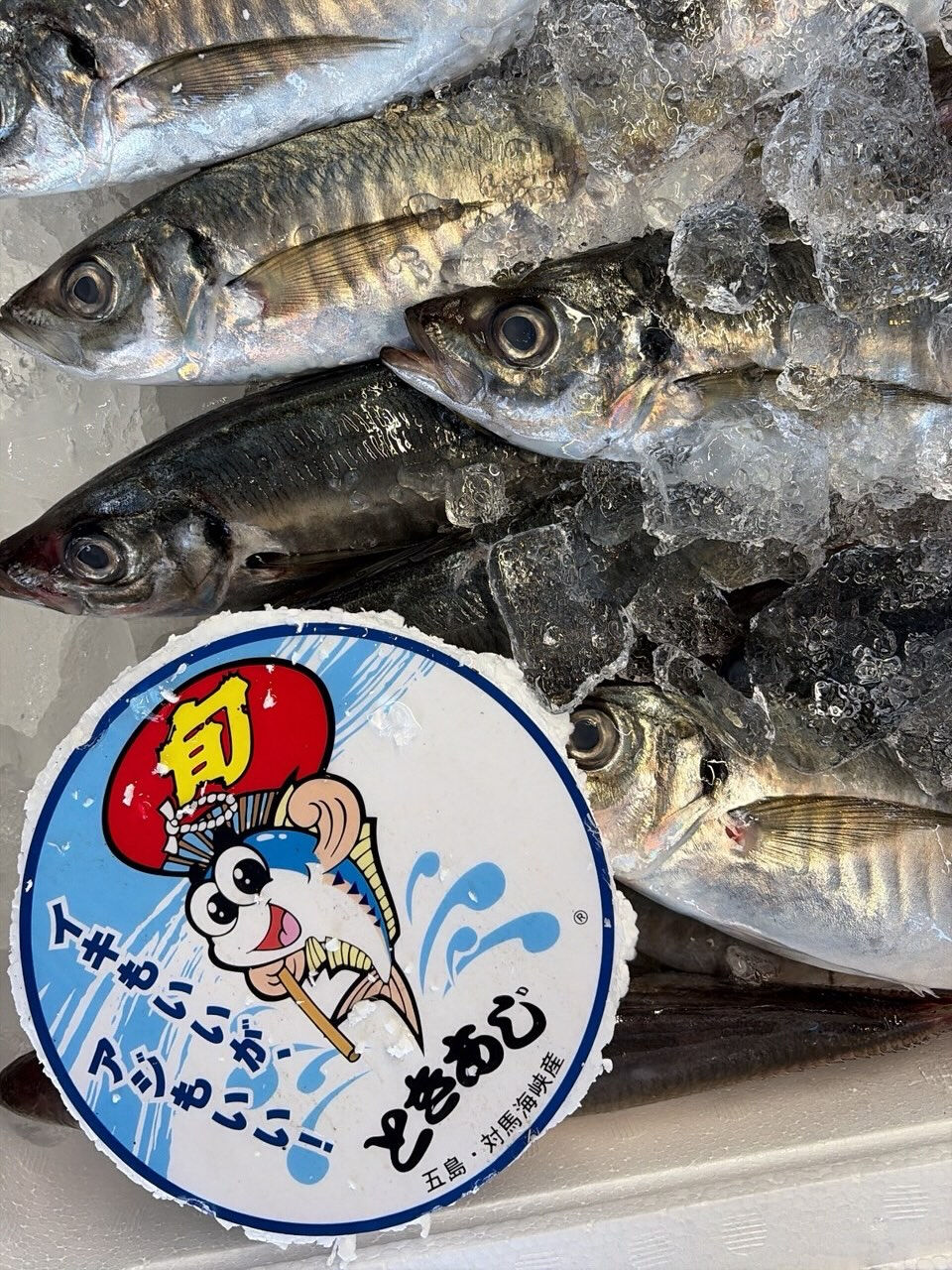 おはようございます！