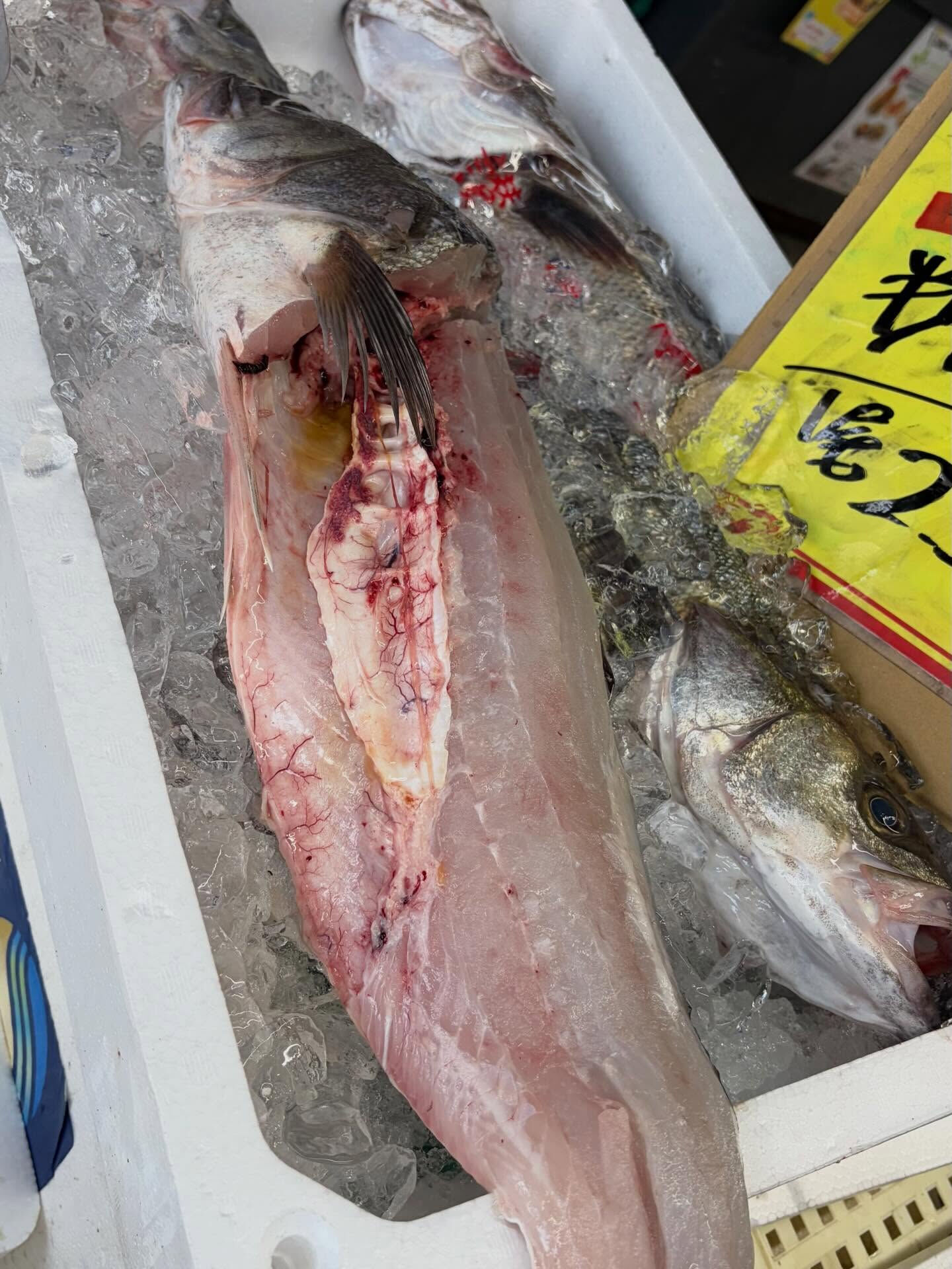 おはようございます