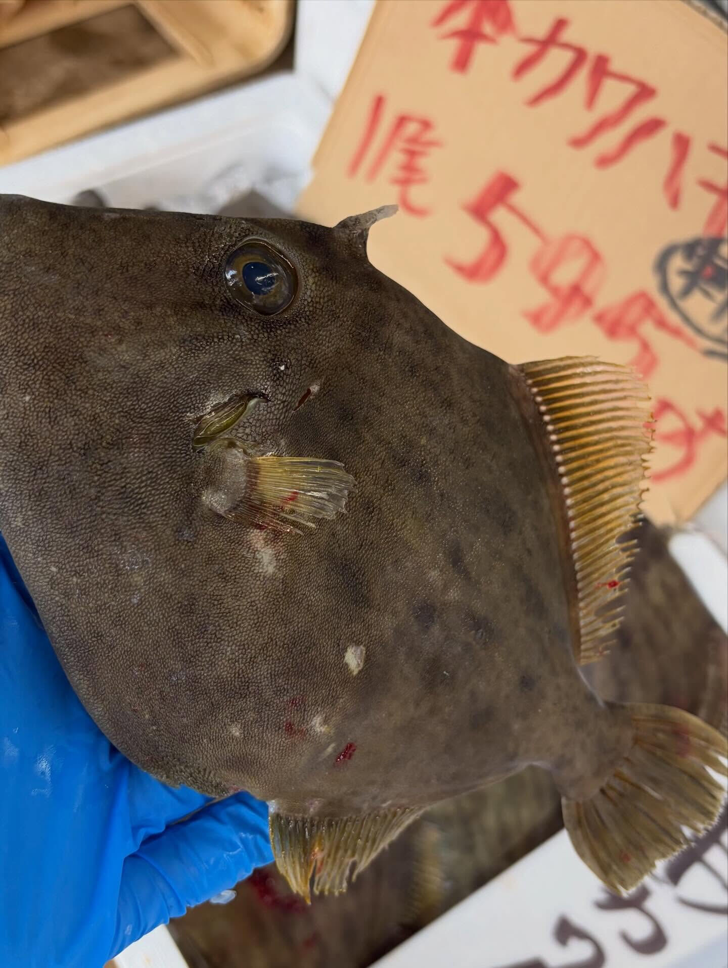 おはようございます