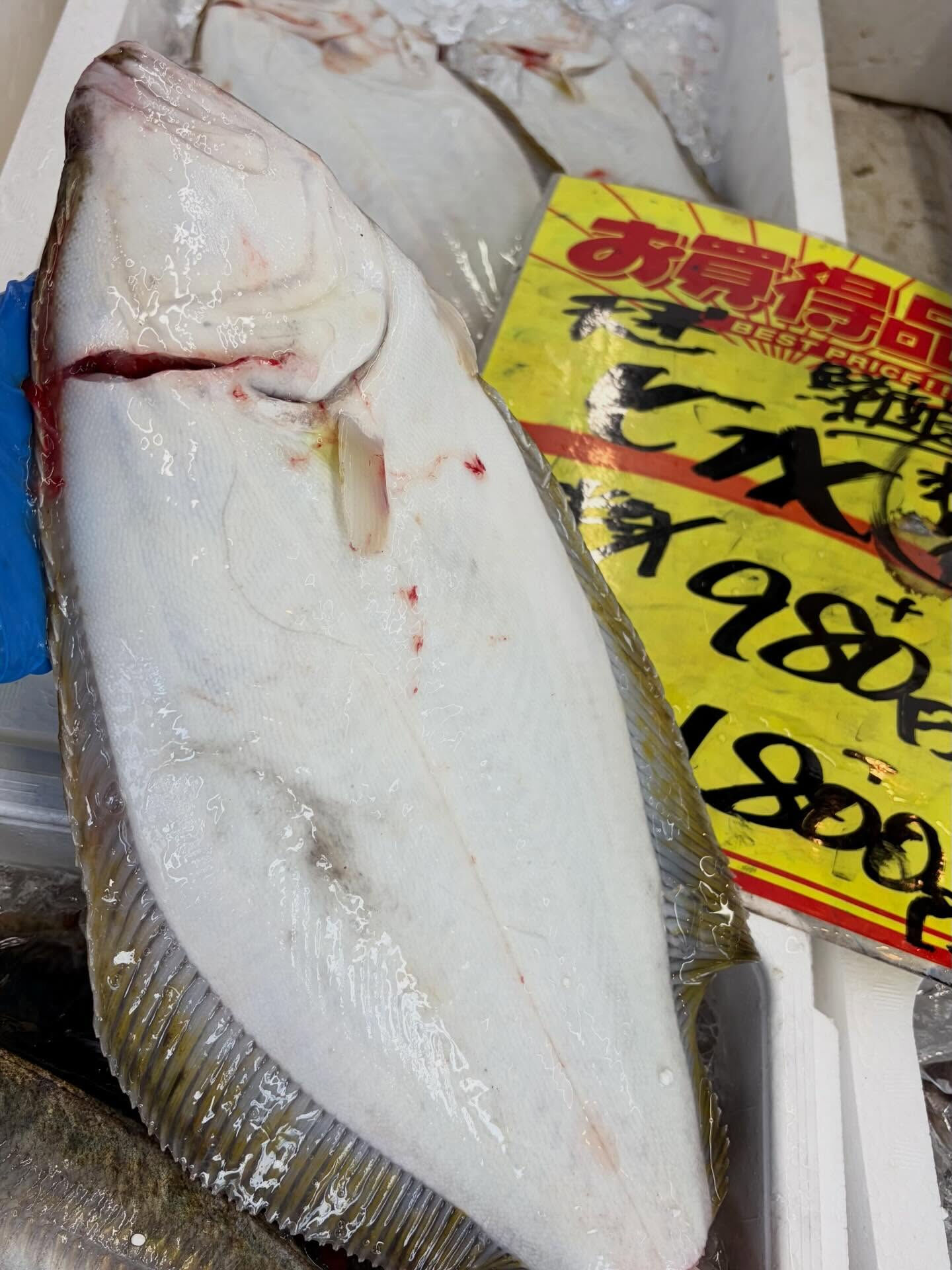 おはようございます