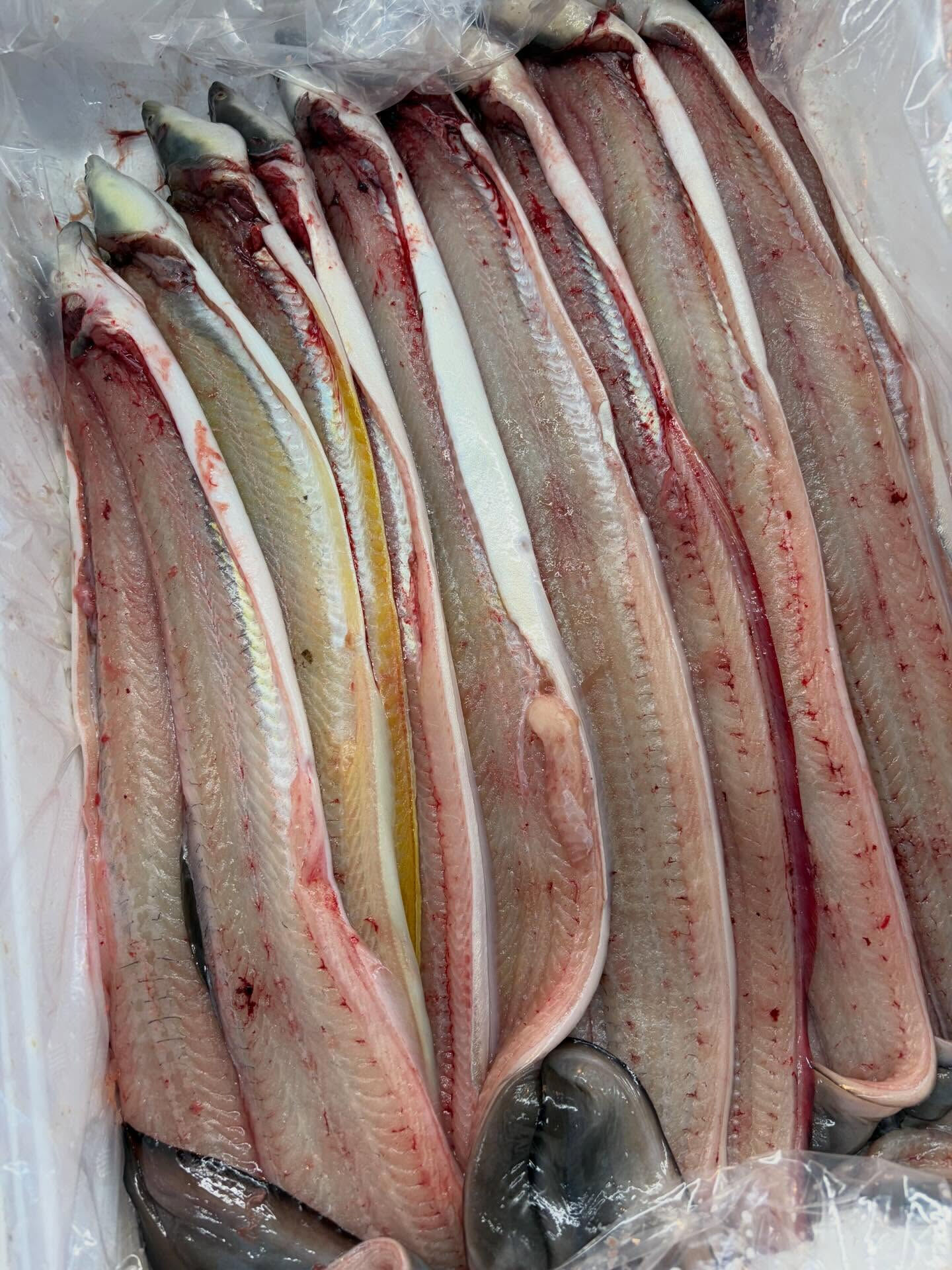 木曜日start!!
