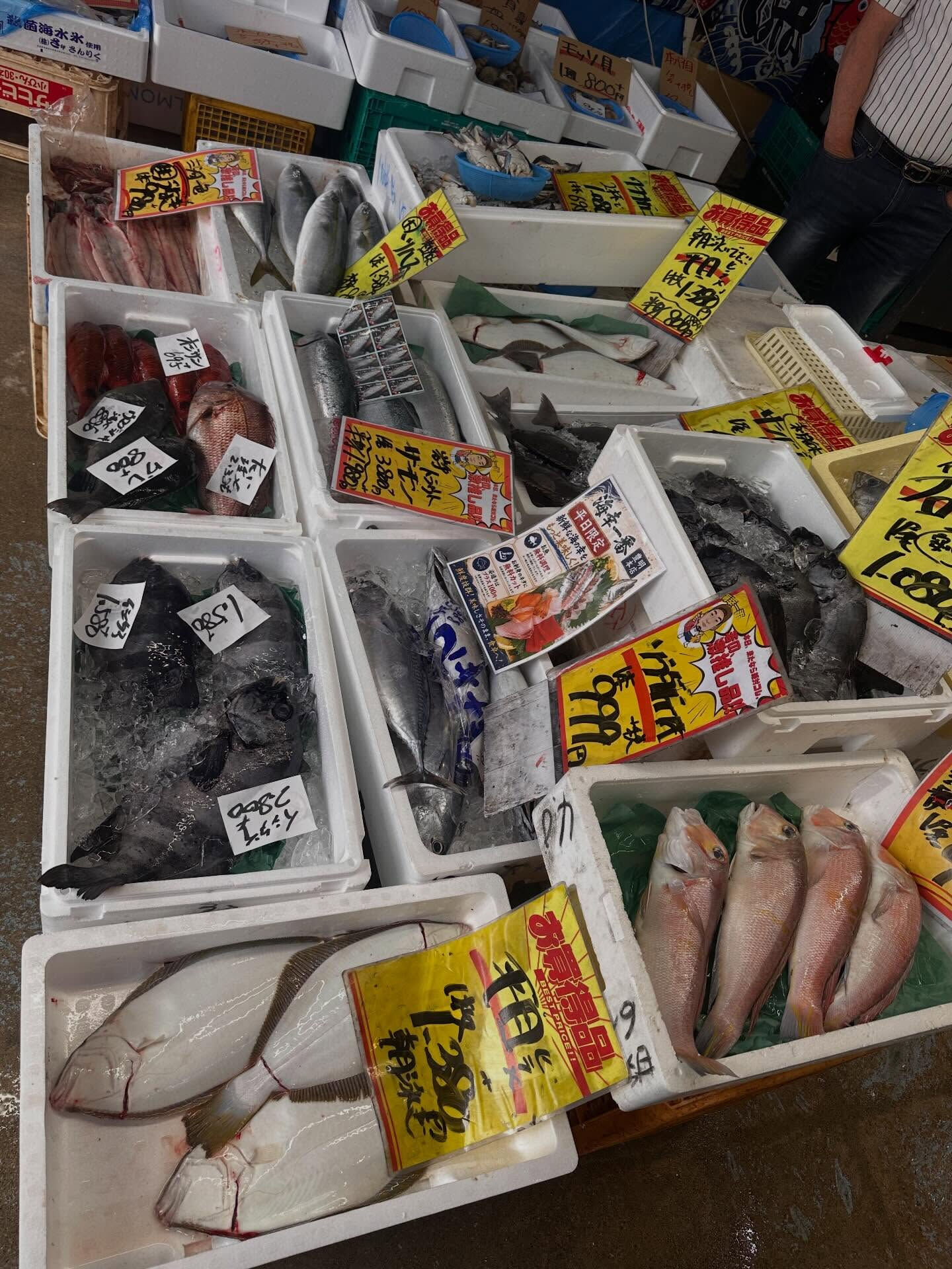 6/23(火) 本日も海幸一番オープンしました！！
